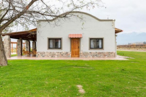 Calivista Vineyard